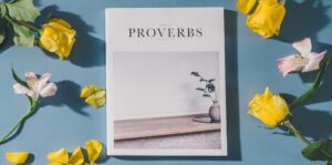 Page proverbs